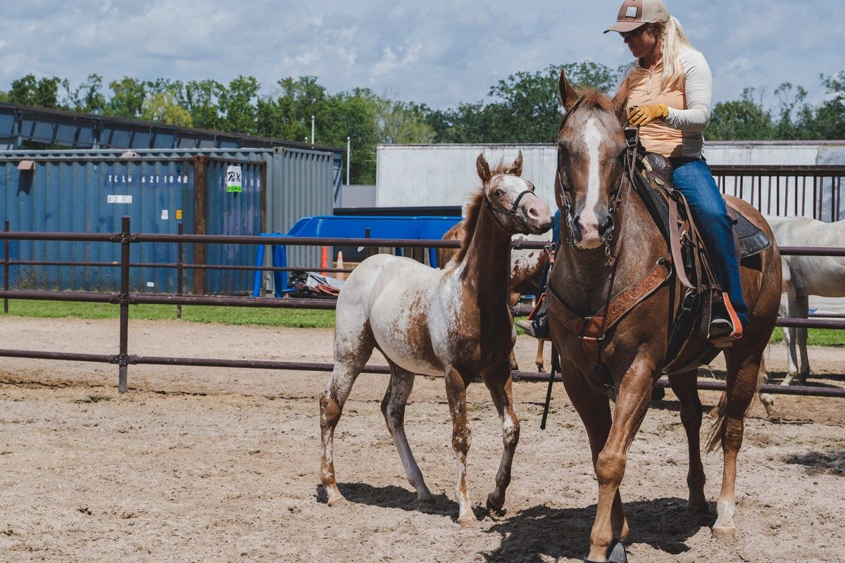 Windermere cowboy horseback riding