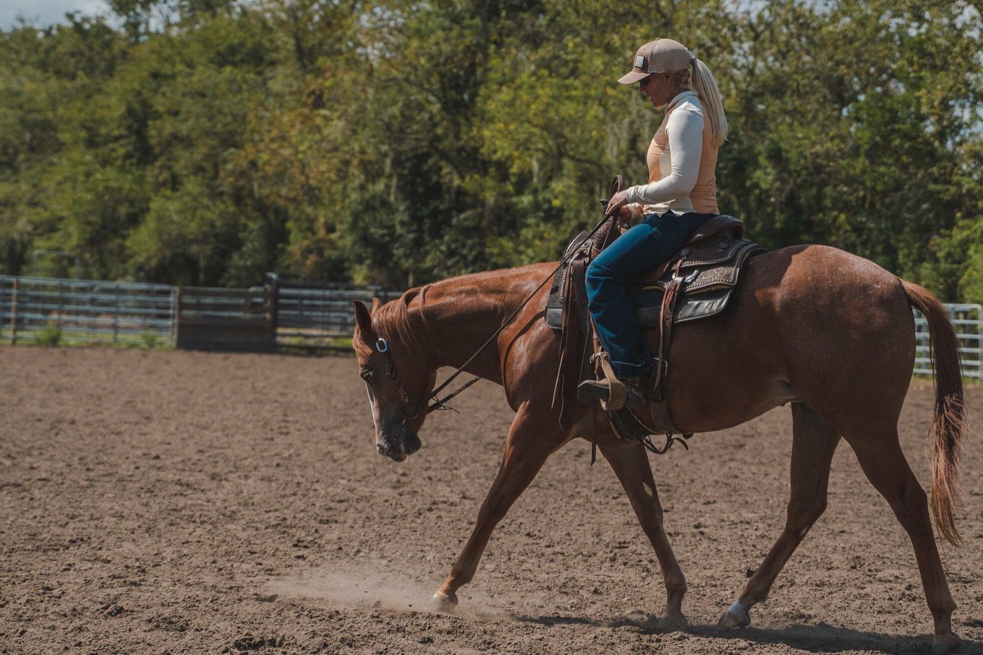 Windermere western horseback riding